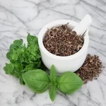 Bulk Purchase of Holy Basil with the Best Conditions