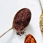 best sumac for wildlife with complete explanations and familiarization