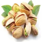 Competition Between Iran and US in Exporting Pistachios