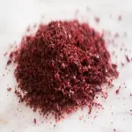 Bulk purchase of red sumac fruit with the best conditions