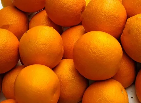 Navel Orange price