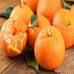 tangerine fruit in english with complete explanations and familiarization