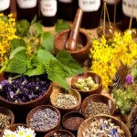 Bulk purchase of tropical medicinal plants with the best conditions