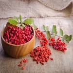 Buy in Exceptional Price and Barberry as a Medicinal Plant