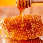 honey in french with complete explanations and familiarization