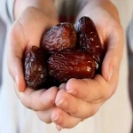 Bulk purchase of medjool dates in greek with the best conditions