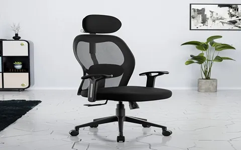 Office Chair in Nepal; Different Material Durable Foam 2 Types Visiting Classic
