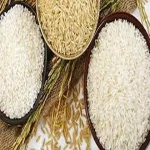 best white rice for daily use price list wholesale and economical