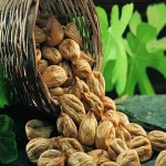 Bulk Purchase of Dried Fig with the Best Conditions