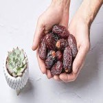 best medjool dates California