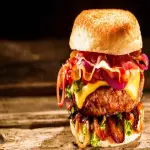 fresh burgers in ninja buying guide with special conditions and exceptional price