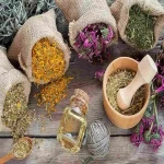 Medicinal herb seeds distributors | buy at a cheap price