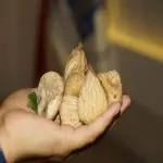 Sun Dried Figs Health Benefits and Nutrition