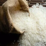iranian rice in dubai price list wholesale and economical