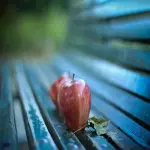 Red Yellow Green Apple