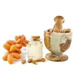 date seed oil for hair acquaintance from zero to one hundred bulk purchase prices