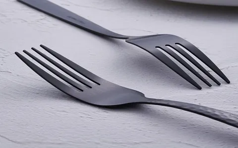 steel fork in black buying guide with special conditions and exceptional price