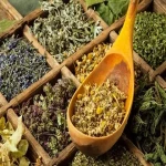 dry vegetables and fruits buying guide with special conditions and exceptional price