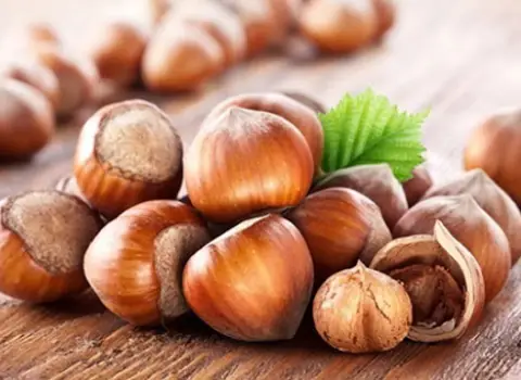 the delicious hazelnut kernel's nutritional advantages