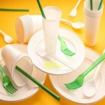 Disposable Plates in Pakistan; Chemical Free Long Lasting Biodegradable (Plant Based Foam)