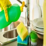 The price of bulk purchase of dishwashing liquid in french is cheap and reasonable