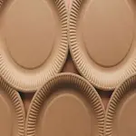 Disposable plate paper with complete explanations and familiarization