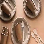 Disposable Party Plastic Cups Specifications and How to Buy in Bulk