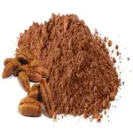 Coffee date seed specifications and how to buy in bulk