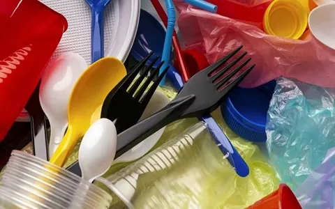 Disposable Cutlery Price in Pakistan