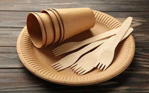 Disposable Plates in Ghana; Synthetic Organic Substances Hygienic (food safety)