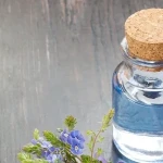 chicory sweat with Complete Explanations and Familiarization