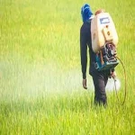 best insecticide in india with complete explanations and familiarization