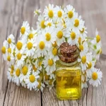 Price and purchase chamomile extract flower with complete specifications