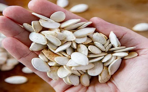 Bulk purchase of pumpkin seed in shell with the best conditions