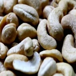 Cashew in India; Contains Copper Phosphorus Vitamins B2 E Protect Skin Strengthening Bones