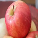 what is kanzi apple  + purchase price of kanzi apple