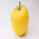 Buy All Kinds of Opal Apple at the Best Price