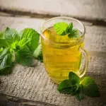 Peppermint herbal tea buying guide with special conditions and exceptional price