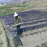 garden plastic sheeting buying guide with special conditions and exceptional price