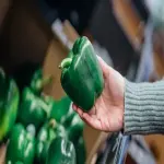 Price and purchase green raw bell pepper with complete specifications