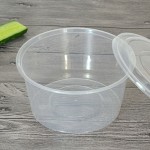 disposable bowls with lids  purchase price + quality test