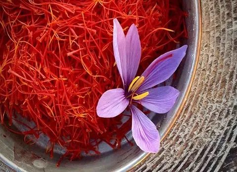 Saffron red gold of Iran specifications and how to buy in bulk