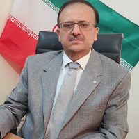 Hojjat Ansari baghini