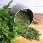 Dry dill weed with complete explanations and familiarization