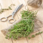 Price and purchase dried thyme in urdu with complete specifications