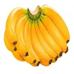 Buy all kinds of banana and grandnut at the best price