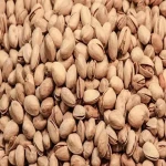 Ahmad Aghaei Pistachio with Explanations and Familiarization