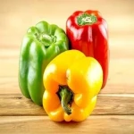 yellow bell pepper sweet specifications and how to buy in bulk