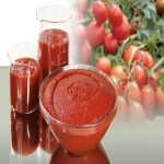 chinese organic tomato paste specifications and how to buy in bulk