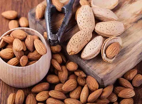 Almond nut shell with complete explanations and familiarization